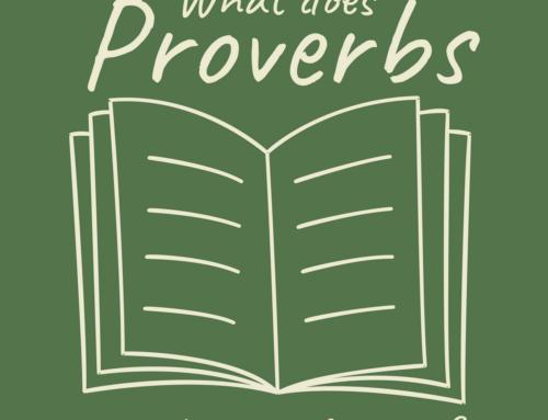 What does Proverbs say About my Finances?